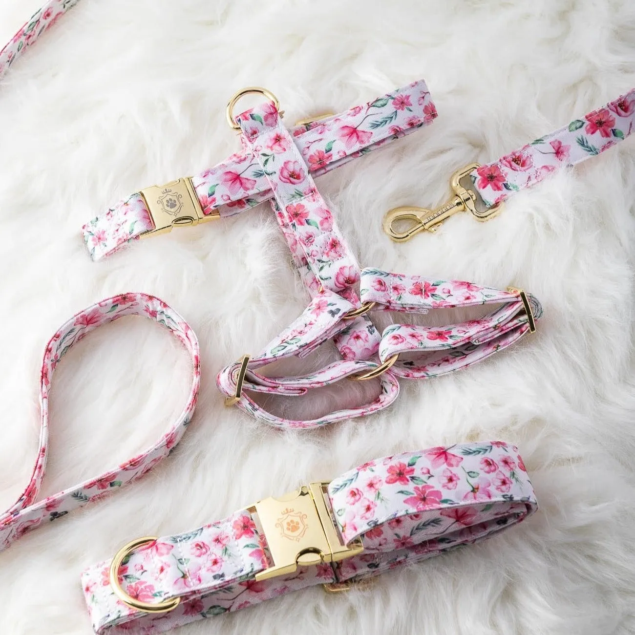 Daisy Deluxe Harness