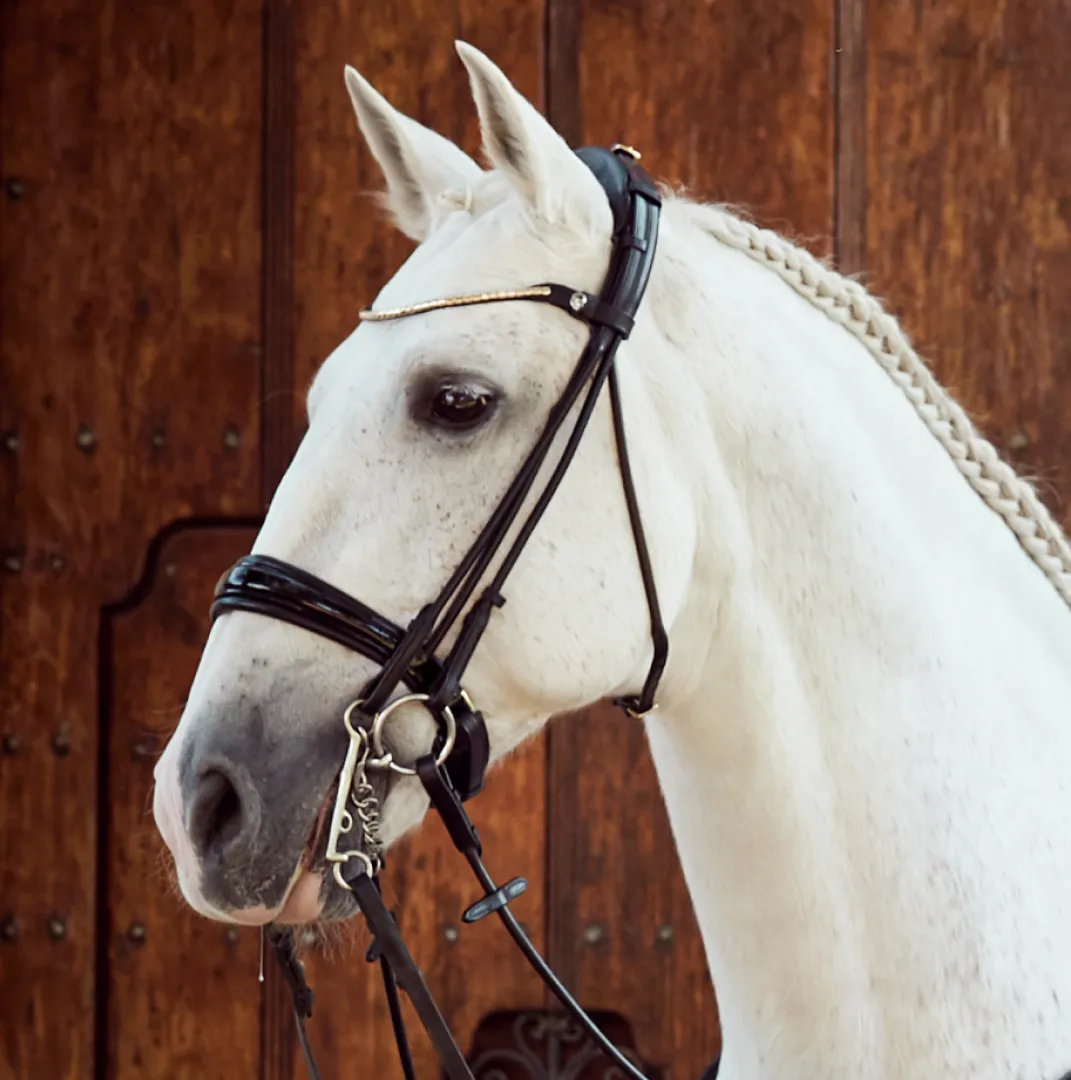 Finesse Cassidy Double Bridle