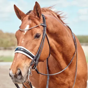 Finesse Cassidy Double Bridle